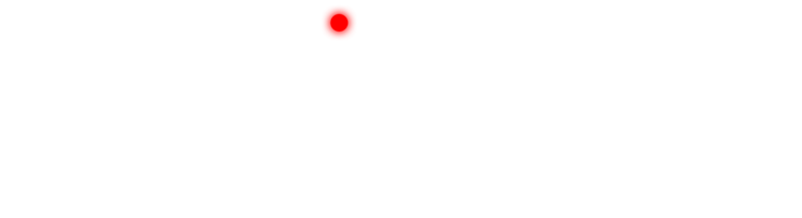 Decoy Productions - Logo